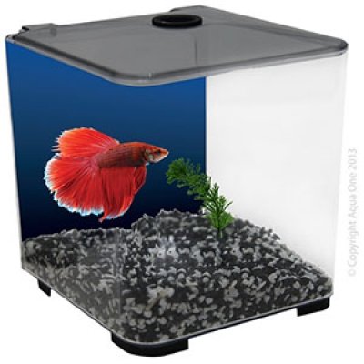 Aqua One Betta Style - Pink image 0