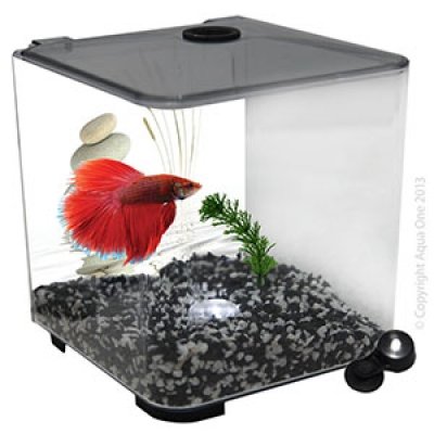 Aqua One Betta Style With Light - Black image 1