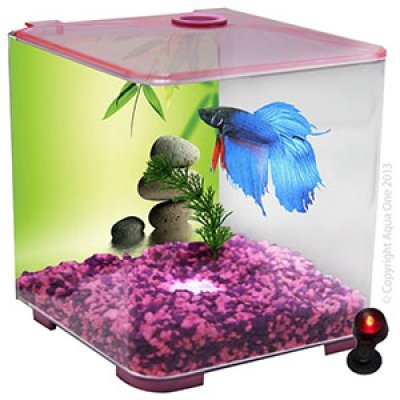 Aqua One Betta Style With Light - Black image 3