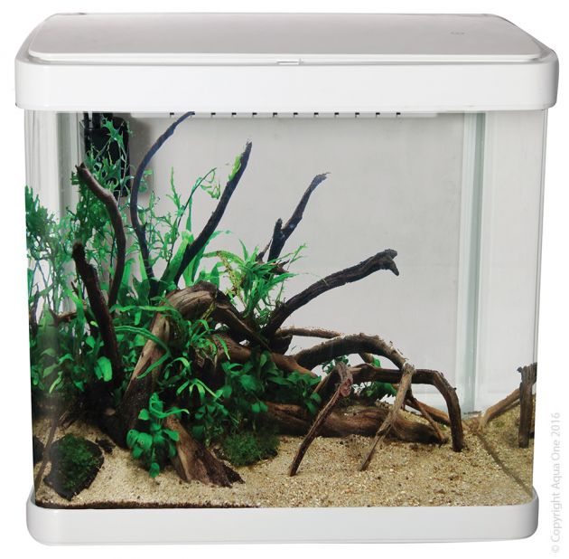 Aqua One LifeStyle 21 21L Aquarium (Black or White) image 0