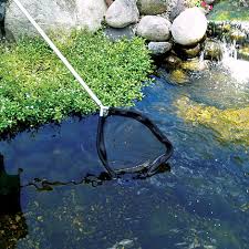 Pond Maintenance image 0