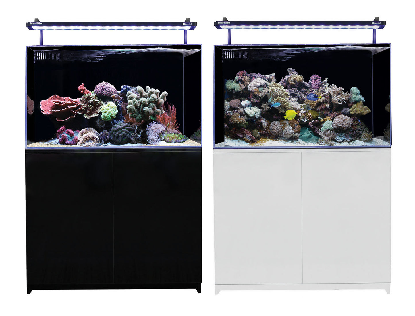 Aqua One Mini Reef 160 Marine Set 160L (Black or White) image 0