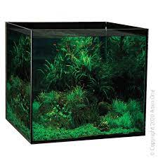 Aqua One Aquasys 315 Aquarium 315L image 0