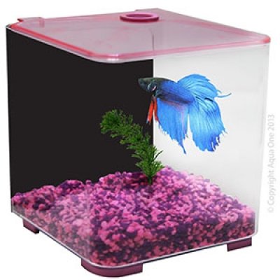 Aqua One Betta Style - Blue image 2