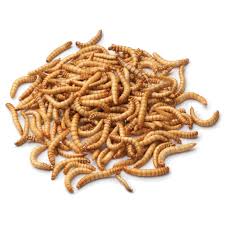 Mealworms 10g image 0