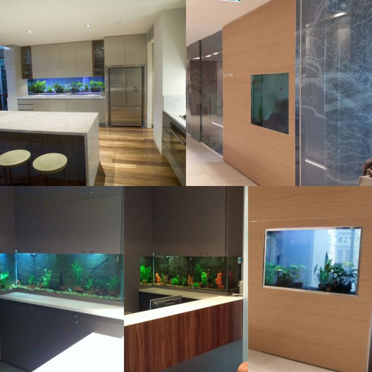 Custom Aquariums image 0