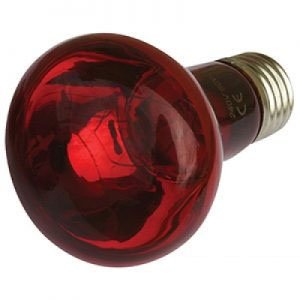 Reptile One Infared Heat Lamp - 150W image 0