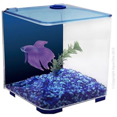 Aqua One Betta Style - Blue image 3