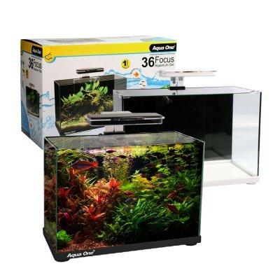 Aqua One Focus 36 36L Aquarium image 0