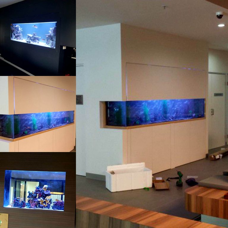 Custom Aquariums image 4