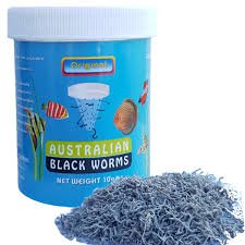 Australian Black Worms - 10g Loose image 0