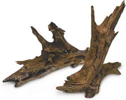 Malaysian Driftwood image 0