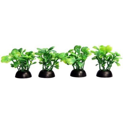 Aqua One Ecoscape 4 pack - Assorted image 3