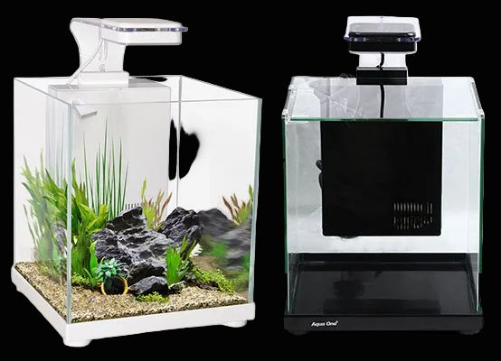 Aqua One Tanks – The Aquarium Factory
