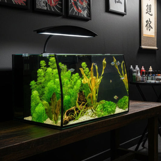 Aqua One Arc 30 Aquarium 30l