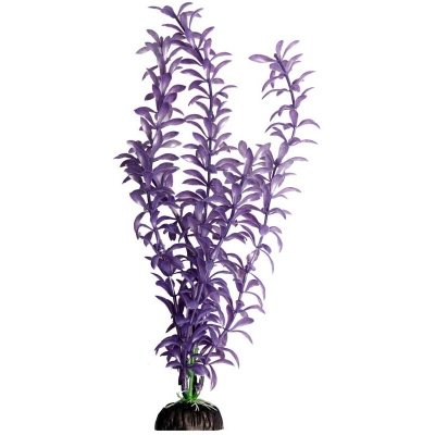 Narrow Ludwigia Purple Ornament Medium