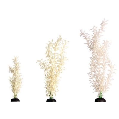 Aqua One Brightscape Ludwigia White M