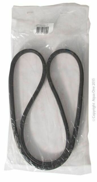 Pumphead O Ring 2200 2400 2250 2450 2700 2700uv