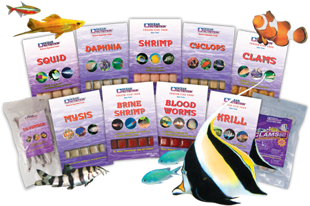 Frozen Food Marine – The Aquarium Factory