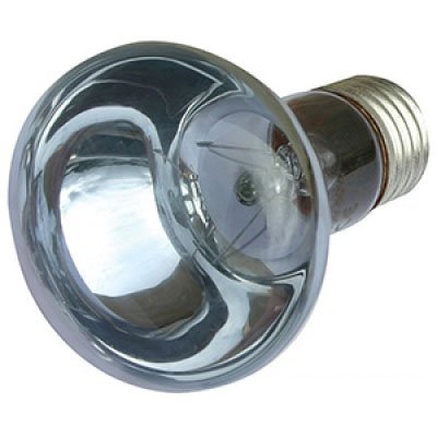 Reptile One Day Light Lamp 50 Watt E27