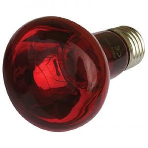 Reptile One Infared Lamp 150 Watt E27