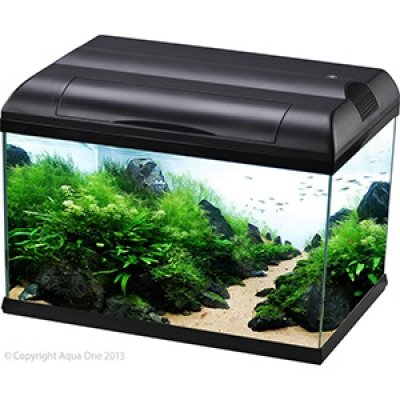 Aqua One EcoStyle 47 38L Aquarium (Black) image 1