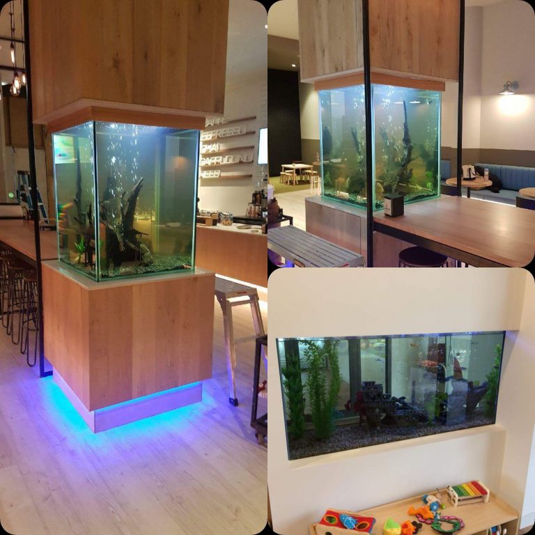 Custom Aquariums image 2