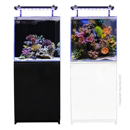 Aqua One Mini Reef 150 Marine Set 150L (Black or White) image 0