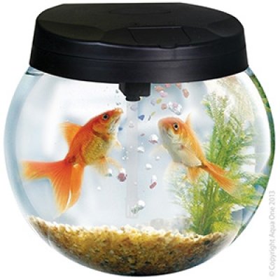 Aqua One AquaSphere Glass Bowl 12L Aquarium image 0