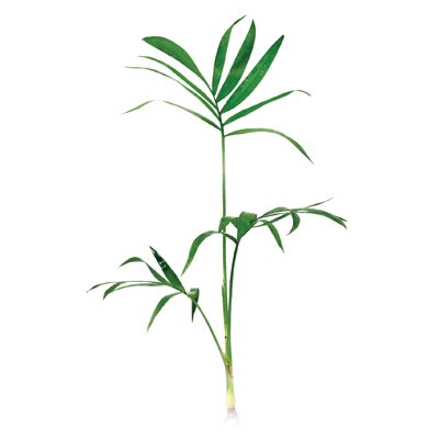 Aqua One Bettascape Fan Palm Blue