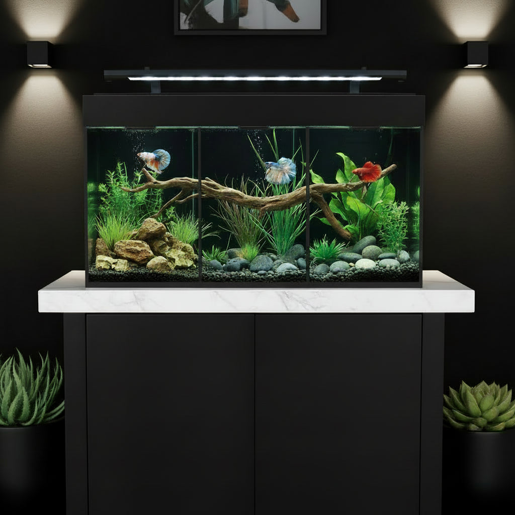 Aqua One Betta Condo Trio