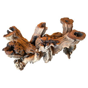 Cypress Swamp Driftwood image 0