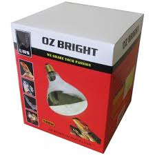 URS Ozbright Heat and Light Bulb 160W image 0