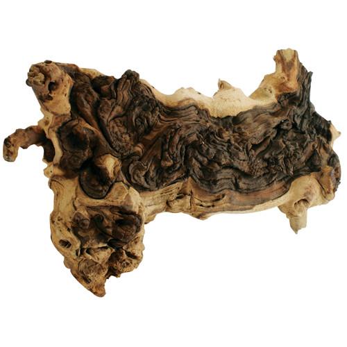 Mopani Driftwood image 0