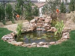 Custom Ponds & Installation image 0