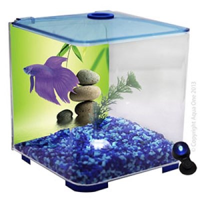 Aqua One Betta Style With Light - Blue image 2