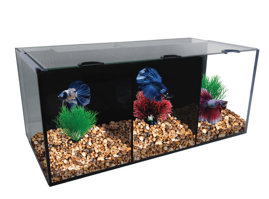 Aqua One Betta Condo Trio image 0