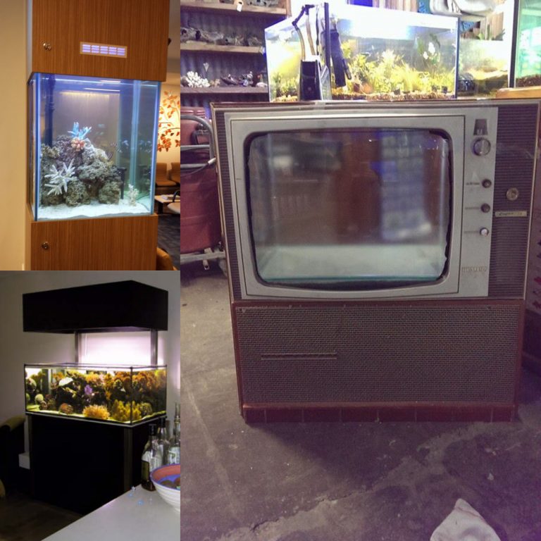 Custom Aquariums image 5