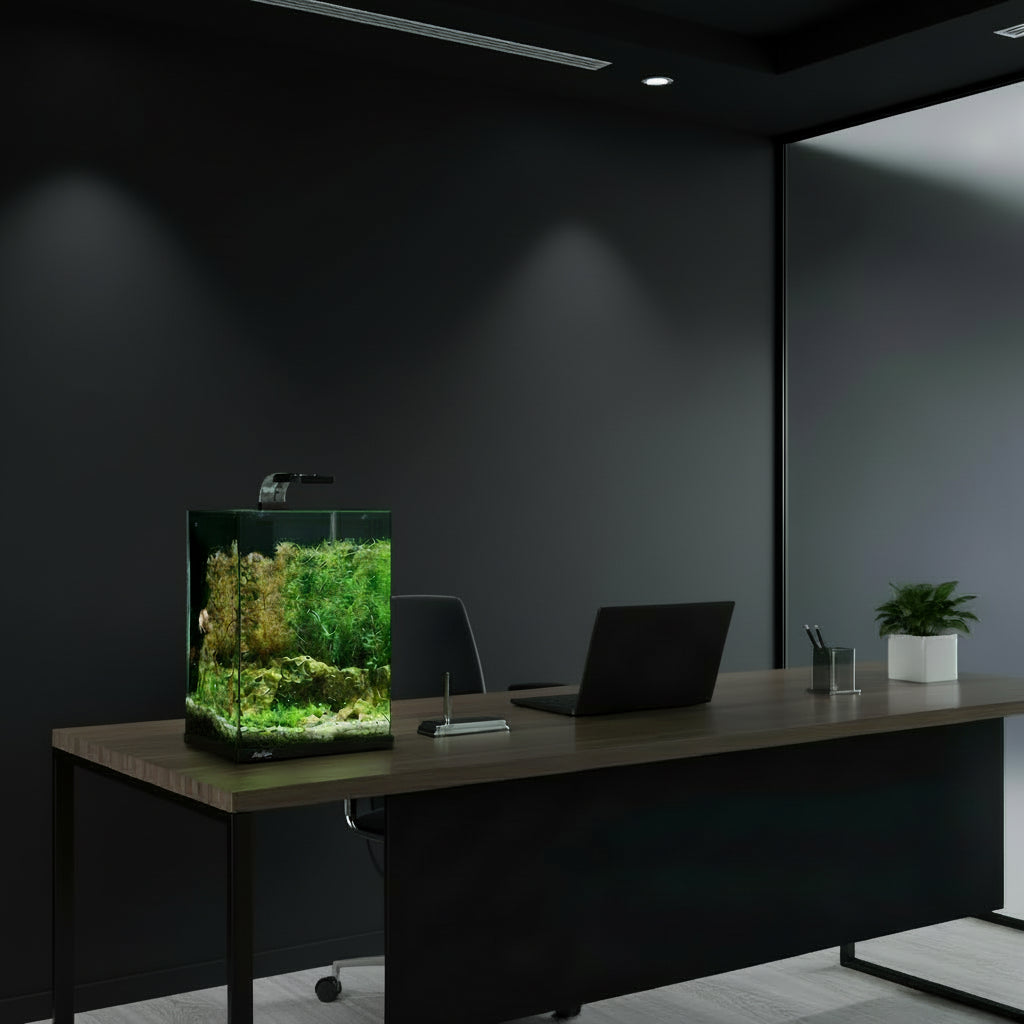 Aqua One Focus 23 - Black Or white