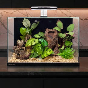 Aqua One Focus 25 Aquarium