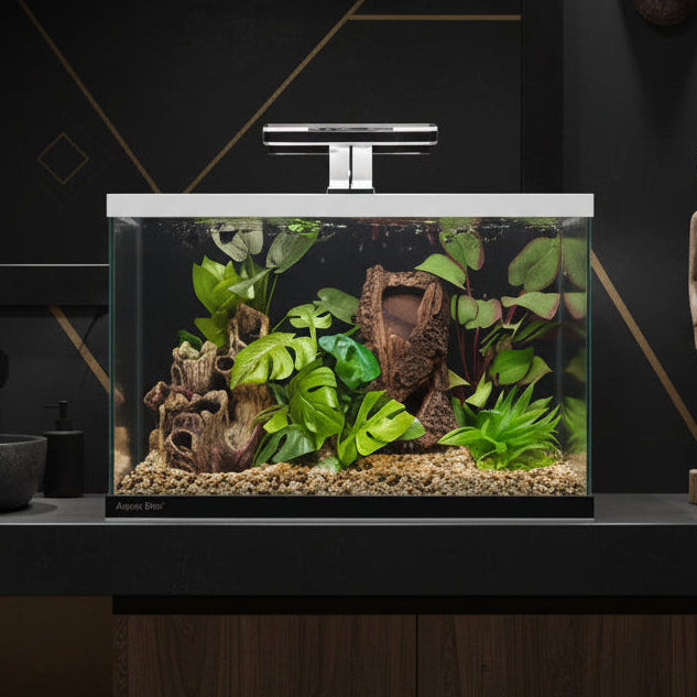 Aqua One Focus 25 Aquarium