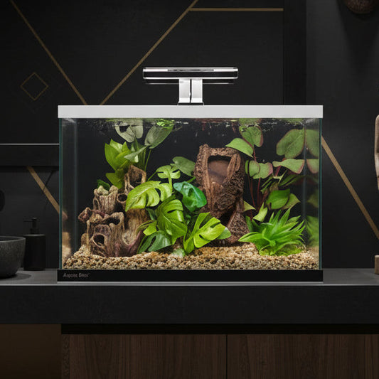 Aqua One Focus 36 Aquarium