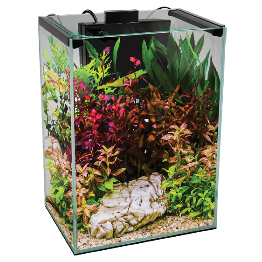 Aqua One Splish & Splash Starter Kit - Large (29L) | The Aquarium Factory